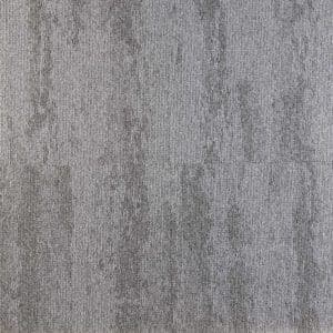 Expression 4240