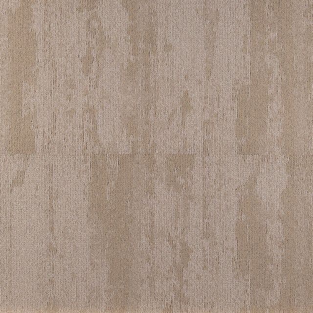 Shoreline 65020
