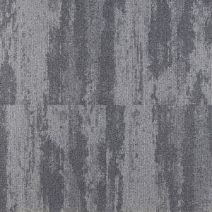 Shoreline 65041