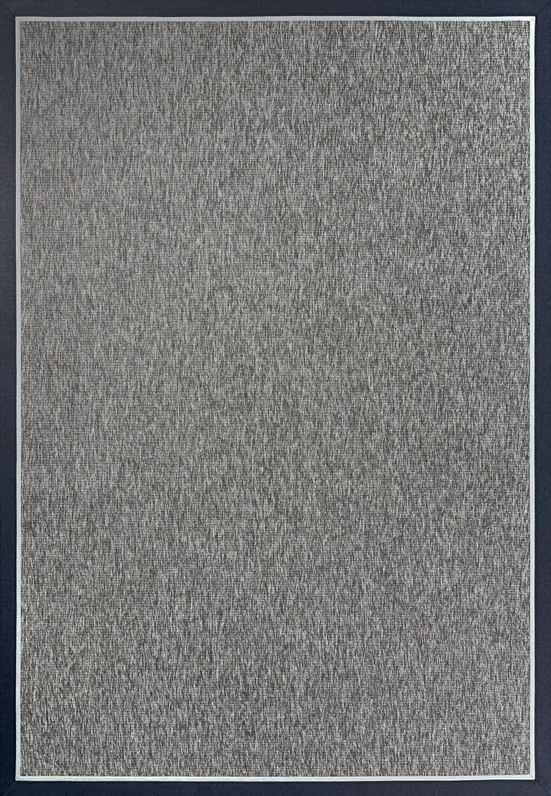 Sisal 4