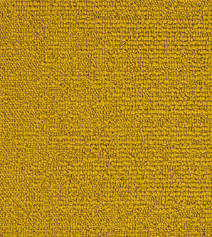 Darwin 33 (25x100cm)