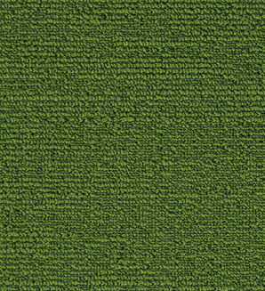 Darwin 34 (25x100cm)